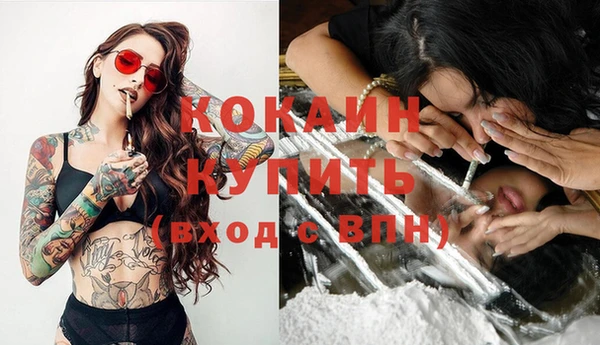 крисы Беломорск