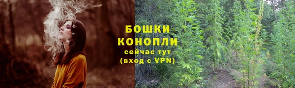 крисы Беломорск