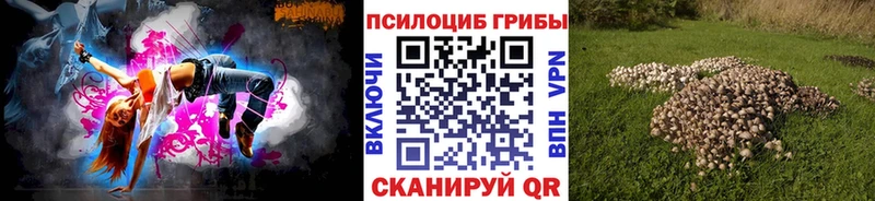 маркетплейс наркотические препараты Волосово Псилоцибиновые грибы мицелий OMG зеркало